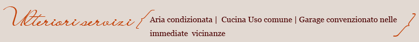 Ulteriori servizi
